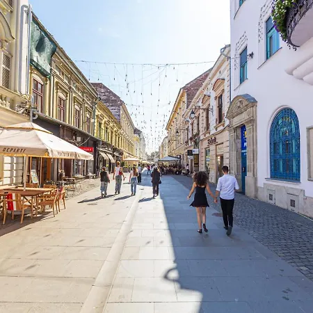 Central,relaxing&cozy טימישוארה