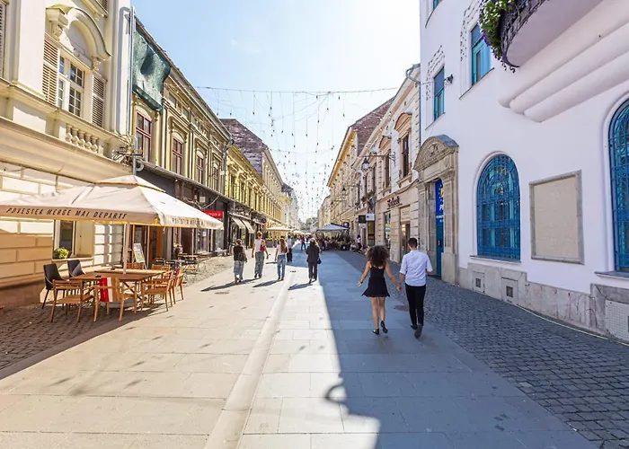 Central,relaxing&cozy Timişoara