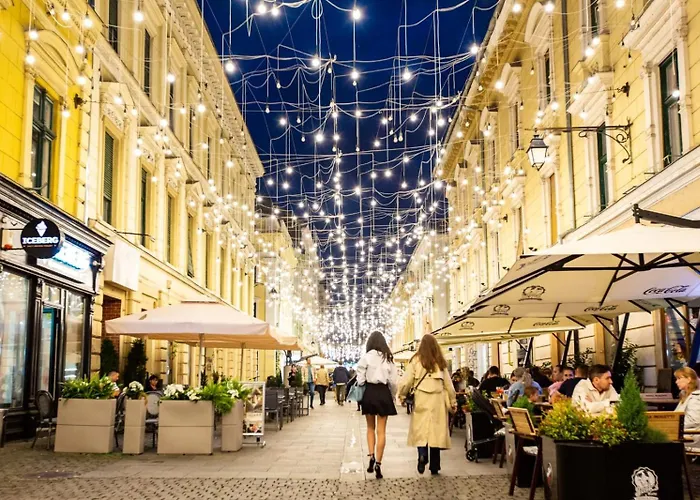 Central,relaxing&cozy * Timişoara